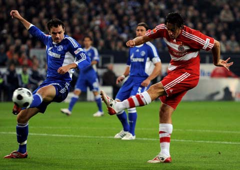 北美快速崛 北美快速崛